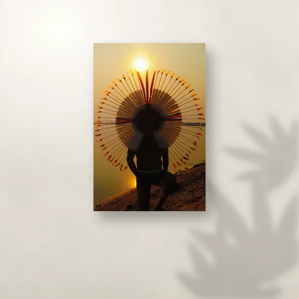 Cocar ao Sol: foto 3